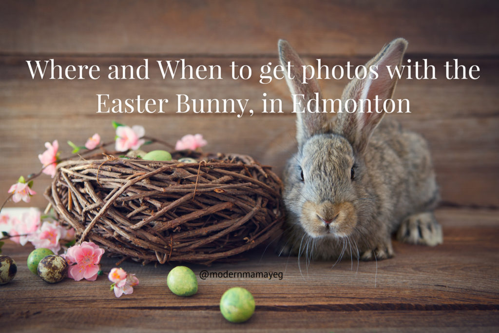 {Easter Bunny} Where + When to find him in Edmonton Modern Mama