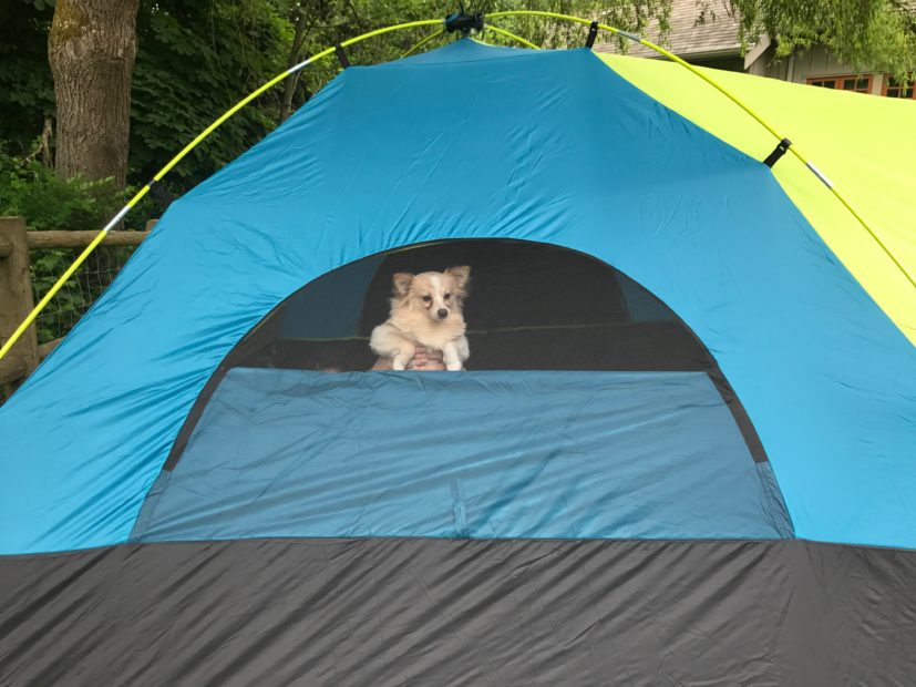 Fake Camping With Kids