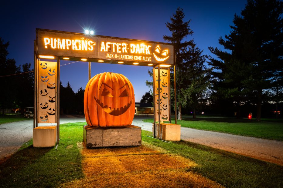 pumpkins after dark