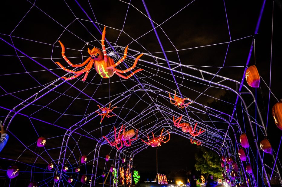 pumpkins after dark